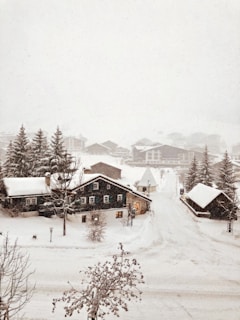 brown wooden house covered with snow during daytime