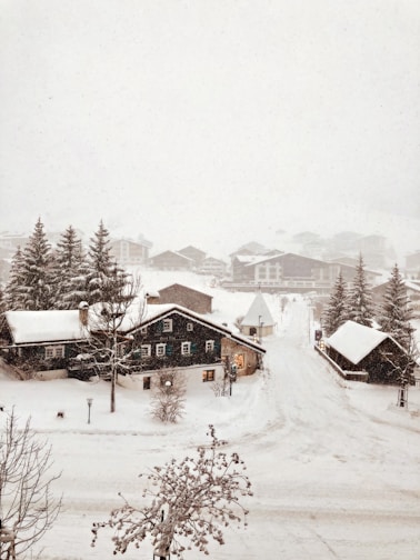 brown wooden house covered with snow during daytime