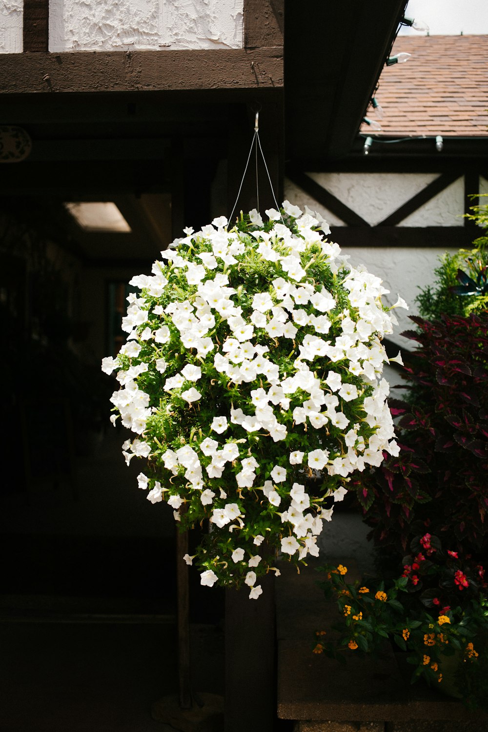 white flowers with green leaves