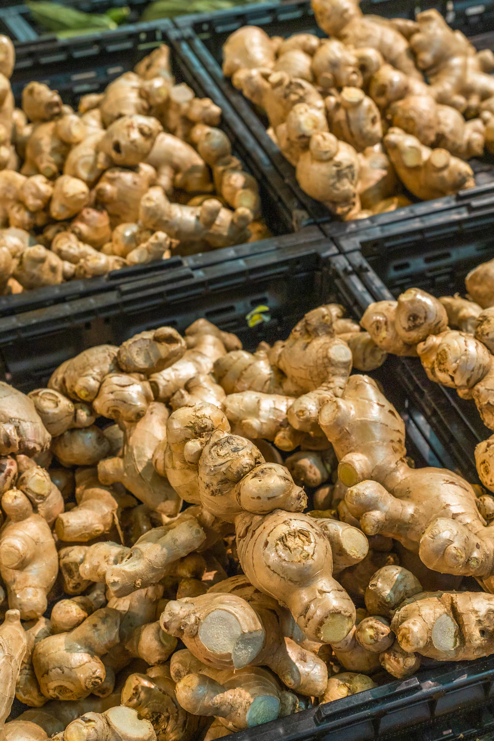 Fresh ginger