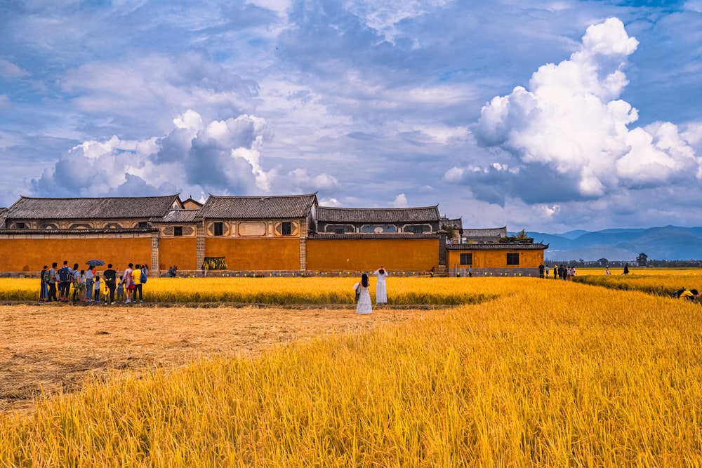 woman in white dress standing on brown grass field during daytime