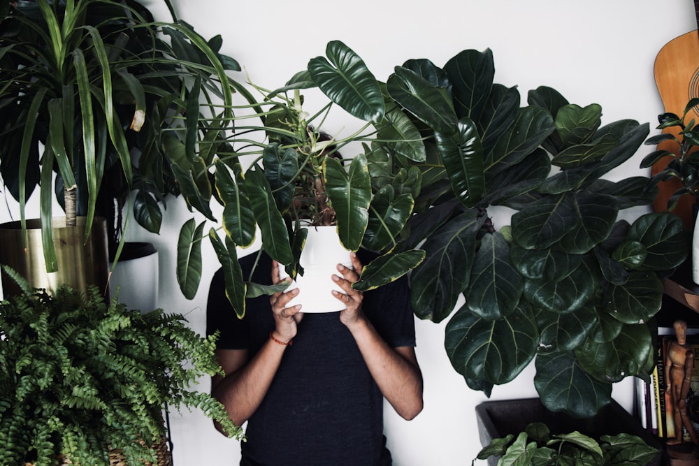 person in black t-shirt holding green plant