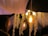 An elegantly decorated ceiling features a hanging light fixture with exposed filament bulbs, creating a warm and cozy ambiance. Cascading floral garlands and what appear to be crystal bead strands hang from the ceiling, enhancing the decorative nature of the setting. The warm glow from the bulbs casts gentle light on the decor, adding to the atmosphere. A person is partially visible in the foreground, with attention focused on the decor.