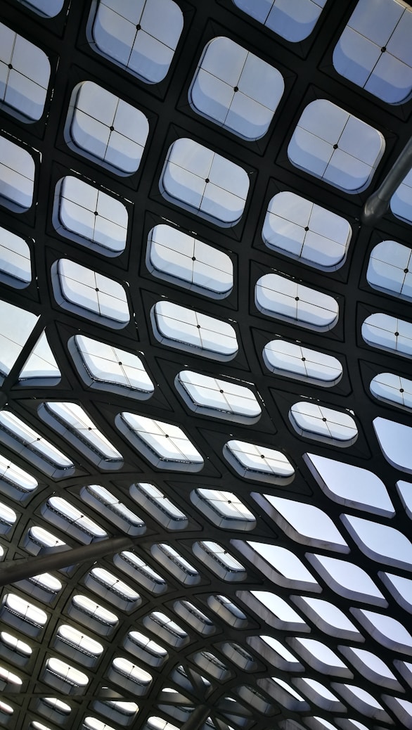 black and white frame illustration