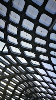 black and white frame illustration