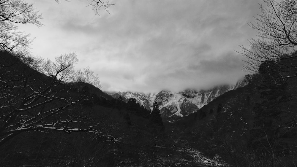 grayscale photo of mountains and trees