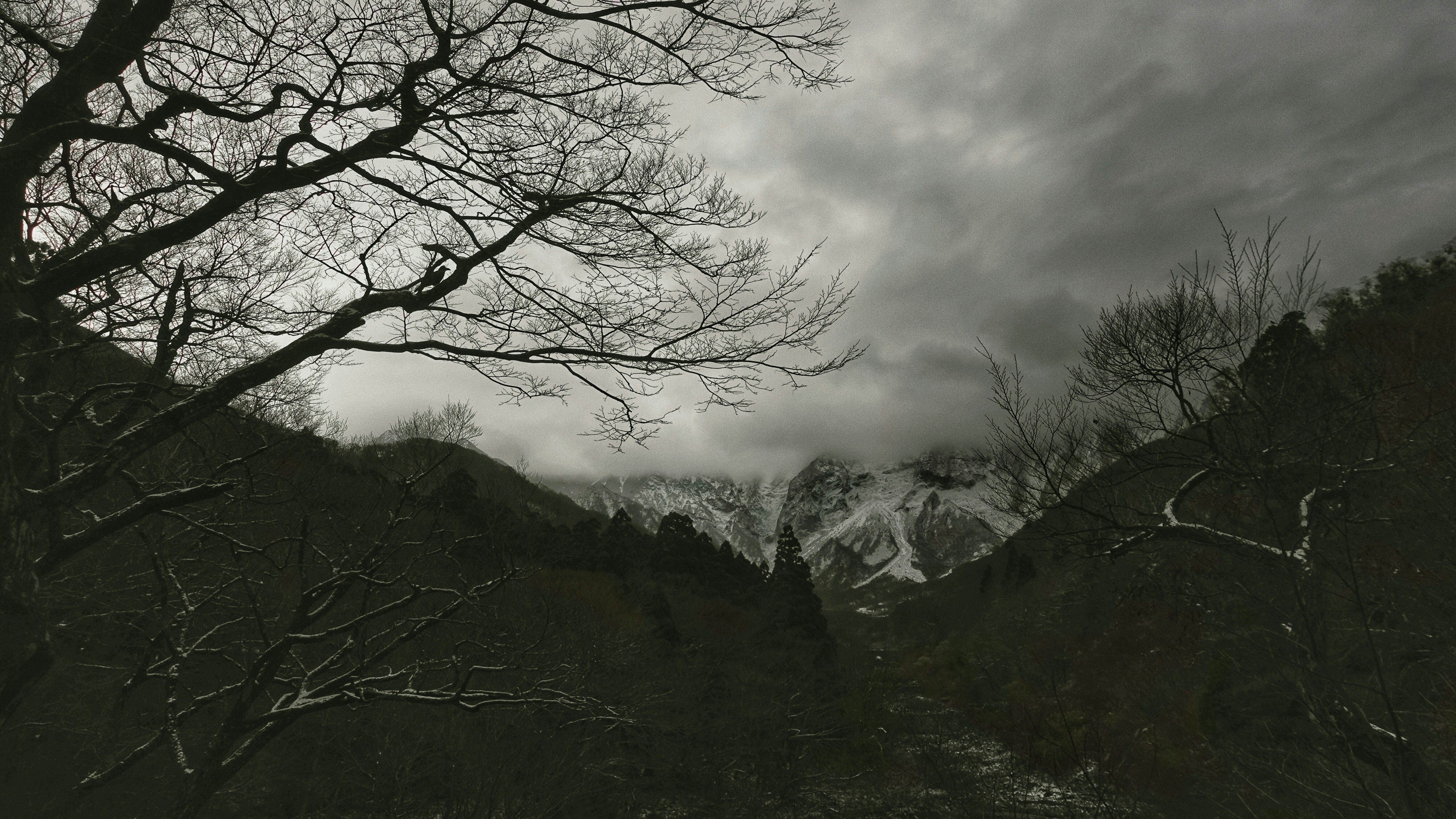 Photo by rissun_line