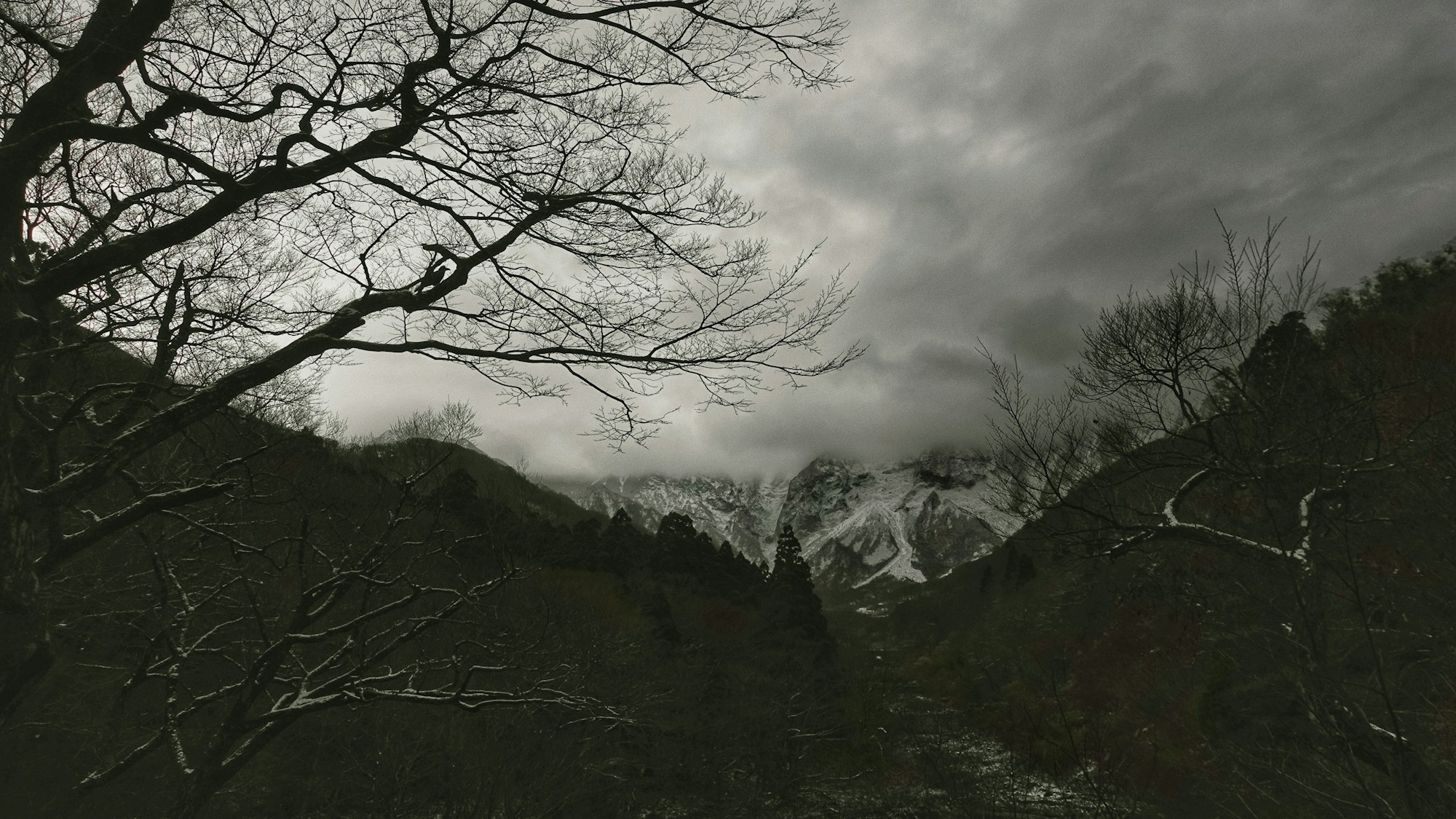 Best Times to Visit Tottori: A Seasonal Weather Guide