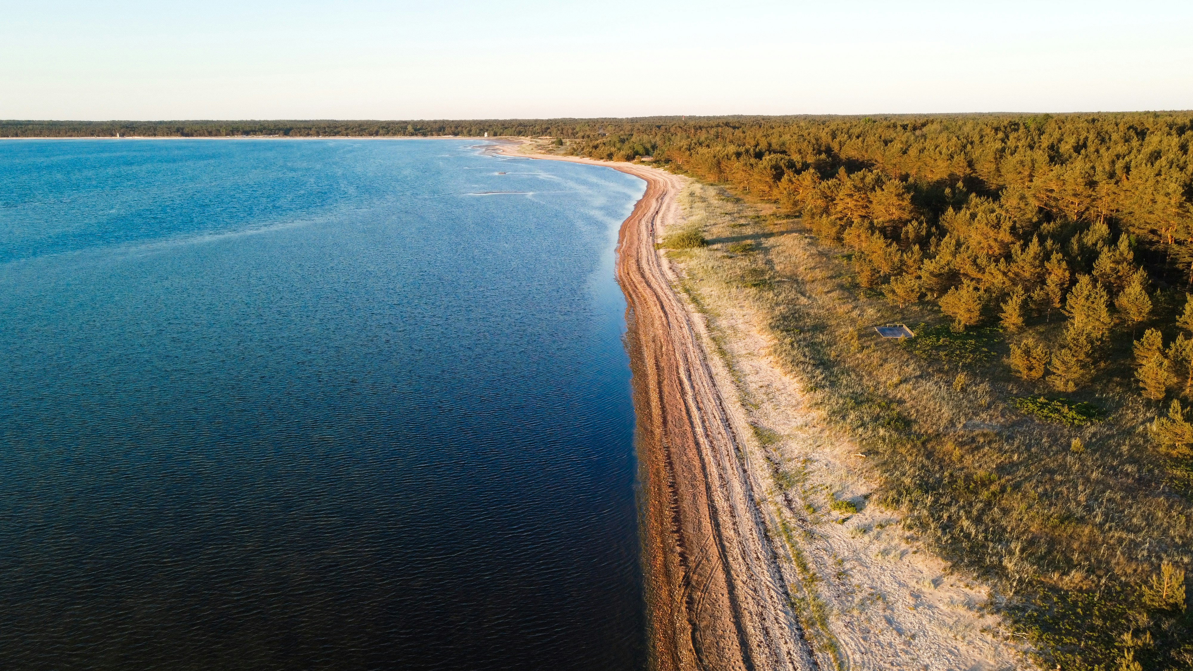 brown field beside blue sea under blue sky during daytime