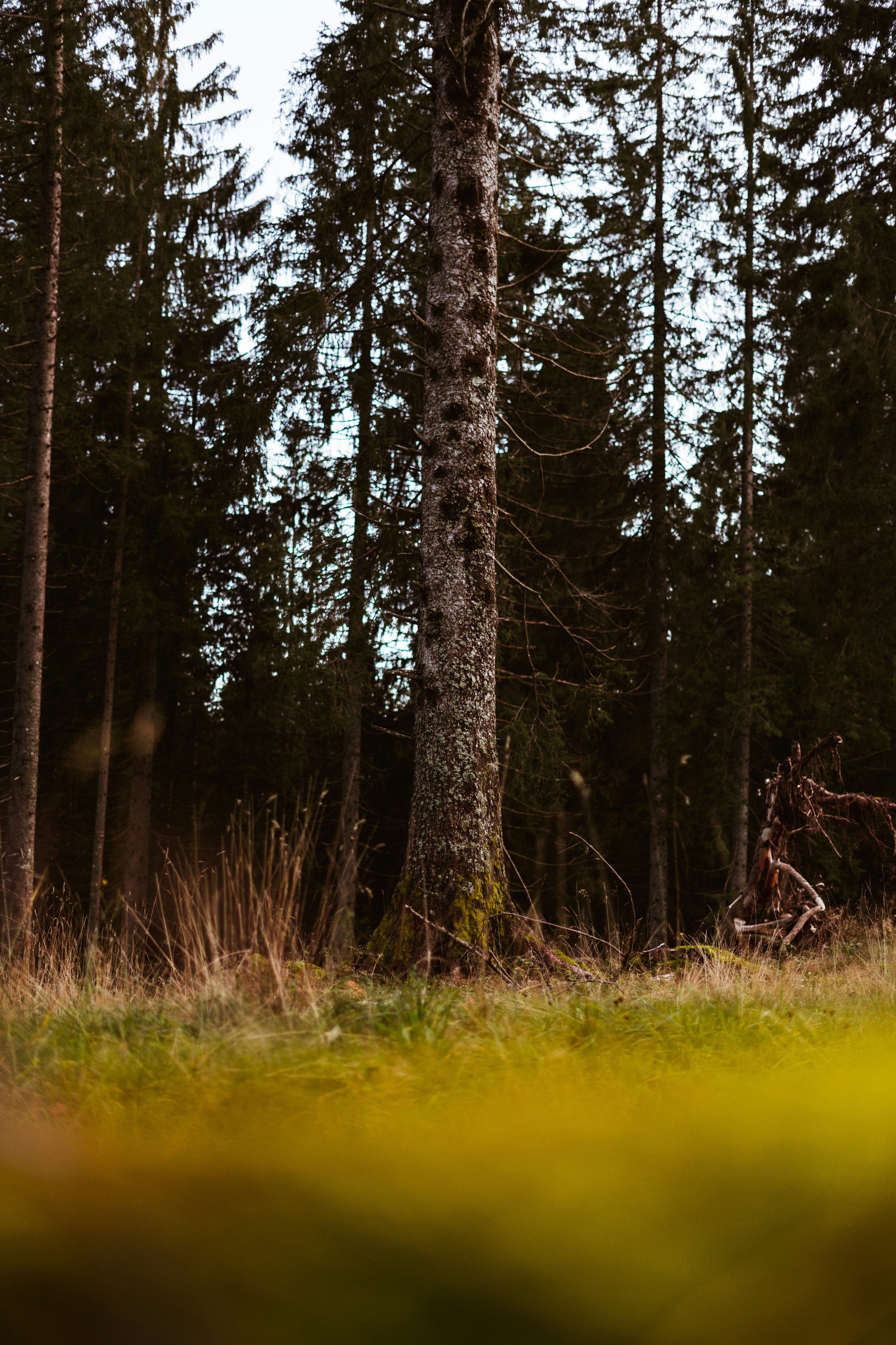 Photo by virussinside