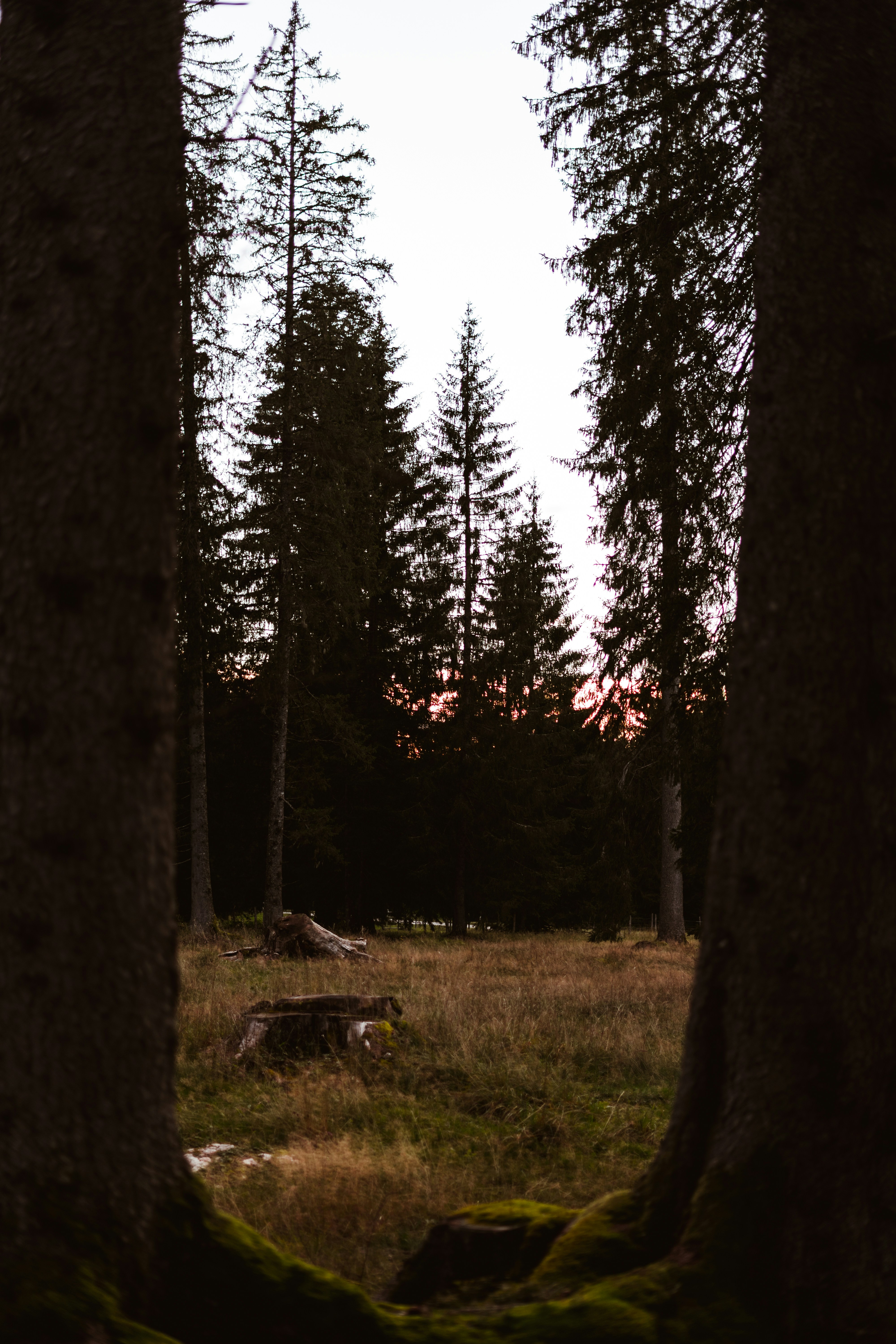 Photo by virussinside