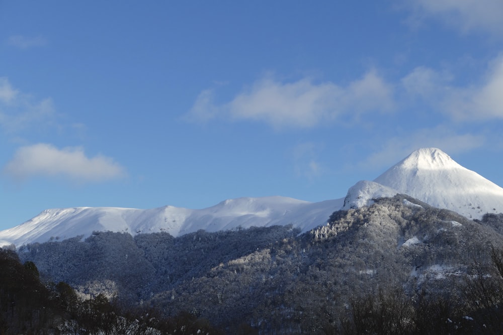 green trees near snow covered mountain during daytime