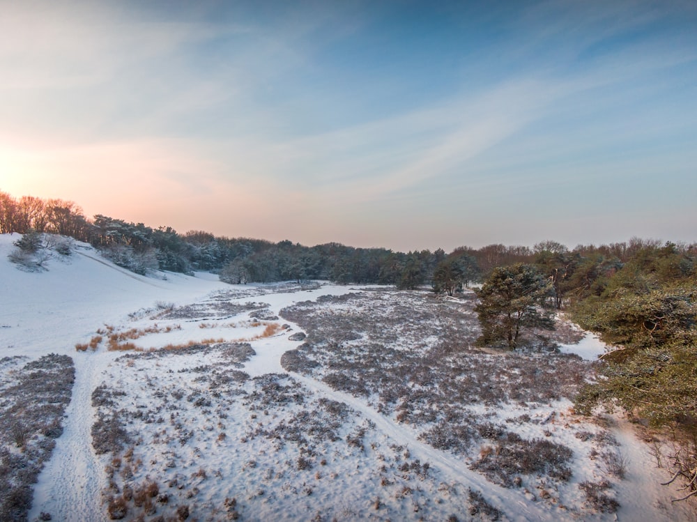 snow covered field and trees during daytime