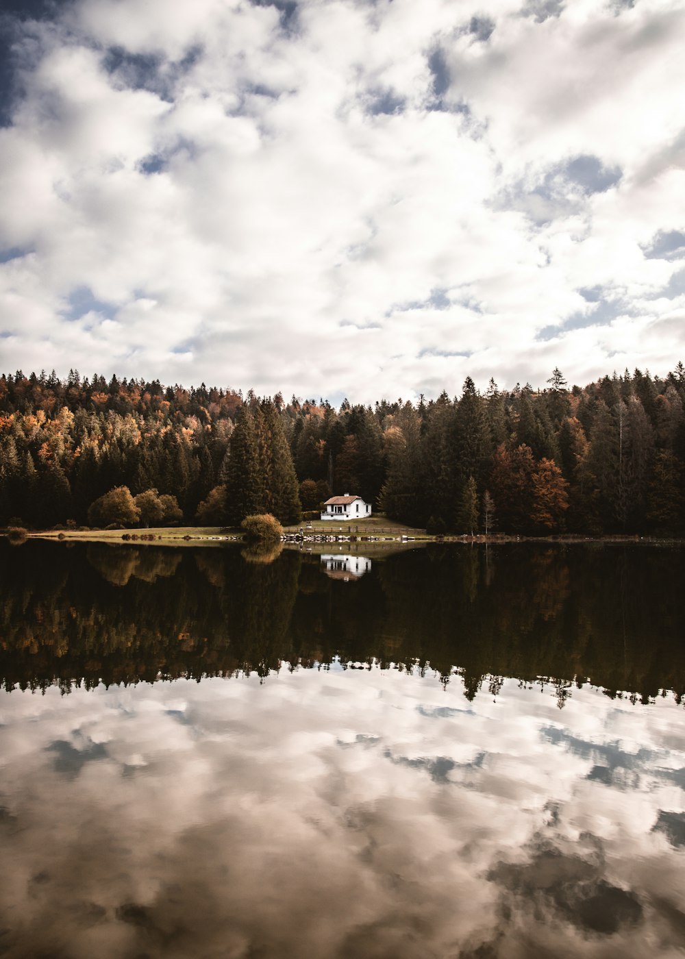 barca bianca e nera sul lago vicino agli alberi verdi sotto le nuvole bianche ed il cielo blu durante