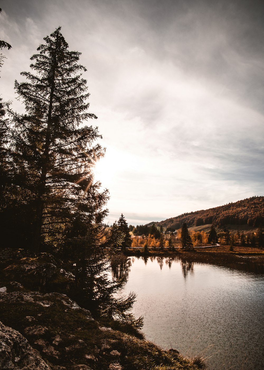 green trees beside lake under cloudy sky during daytime