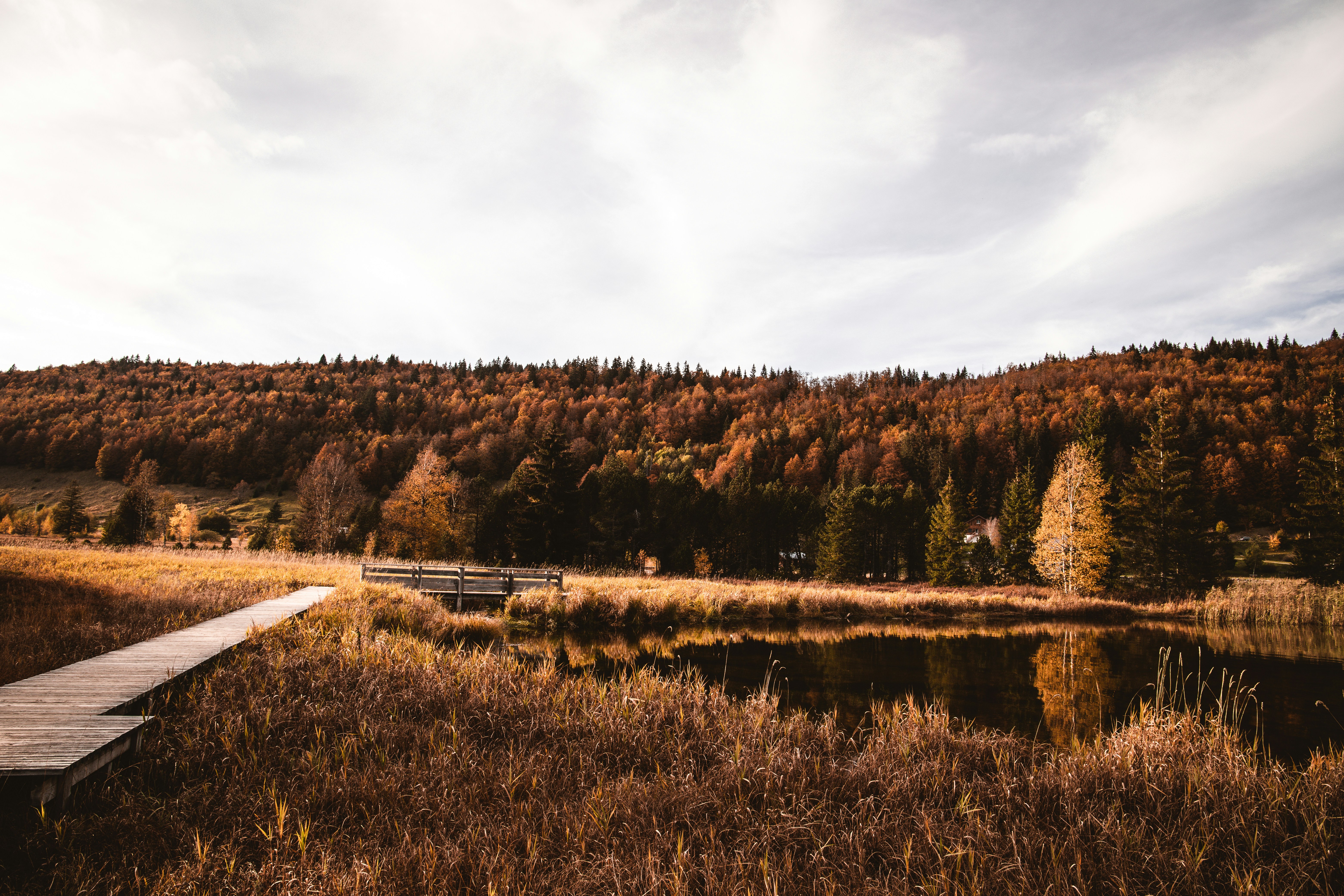 Photo by timarnoldsmb