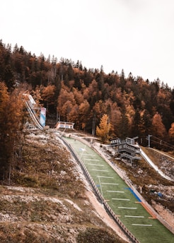 green and brown trees near road during daytime