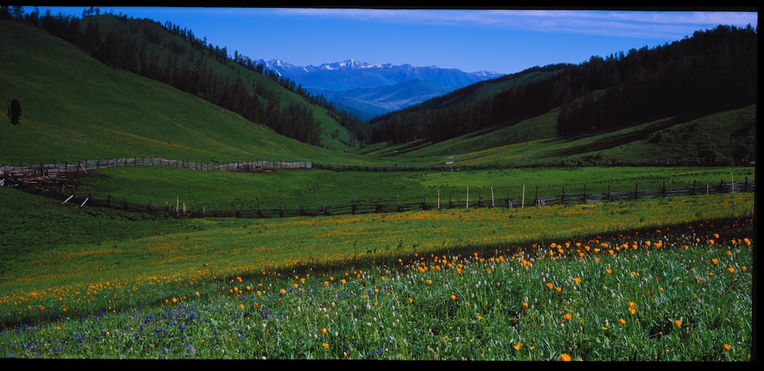 green grass field near green mountains under blue sky during daytime