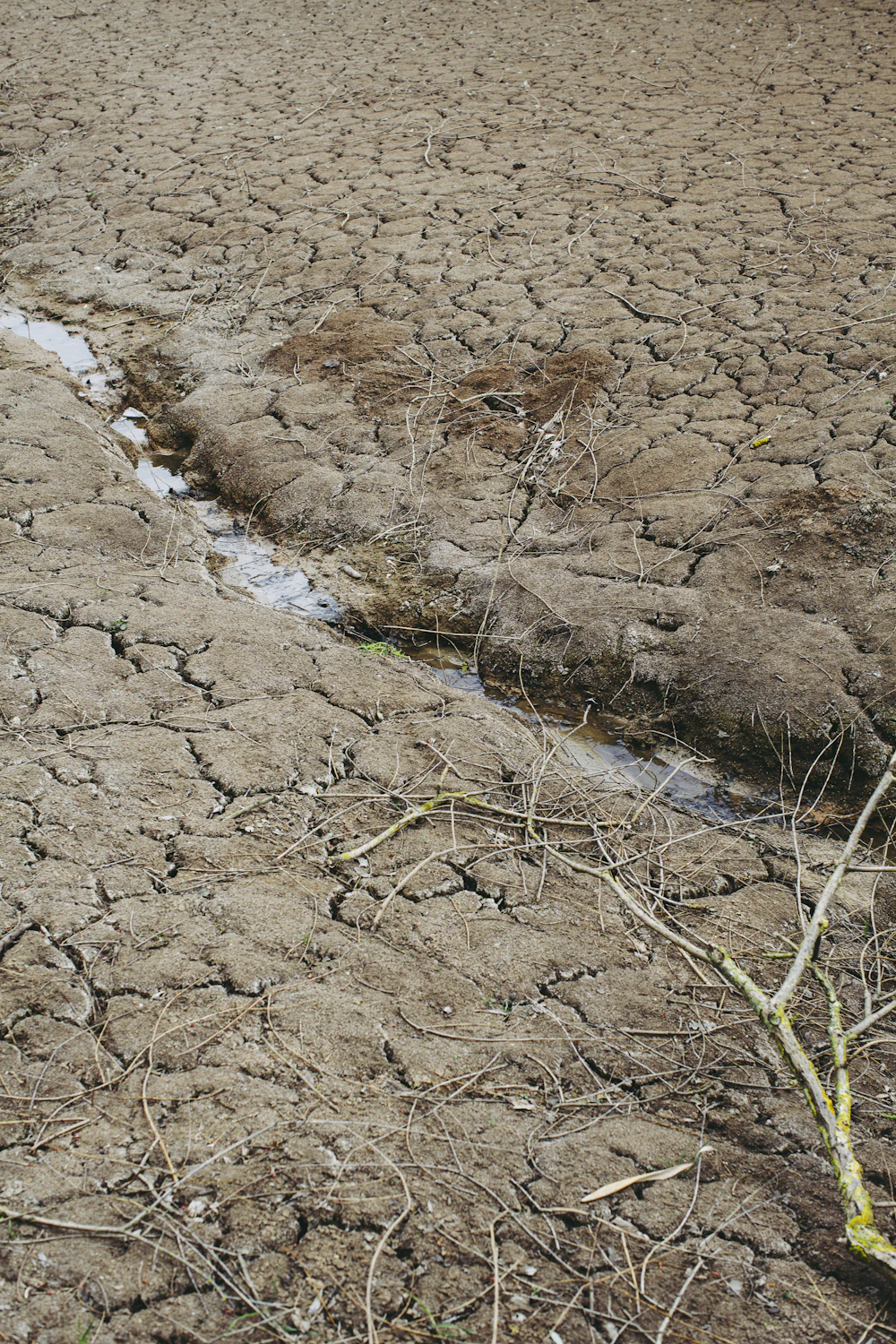 Dry, compacted soil that needs preparation