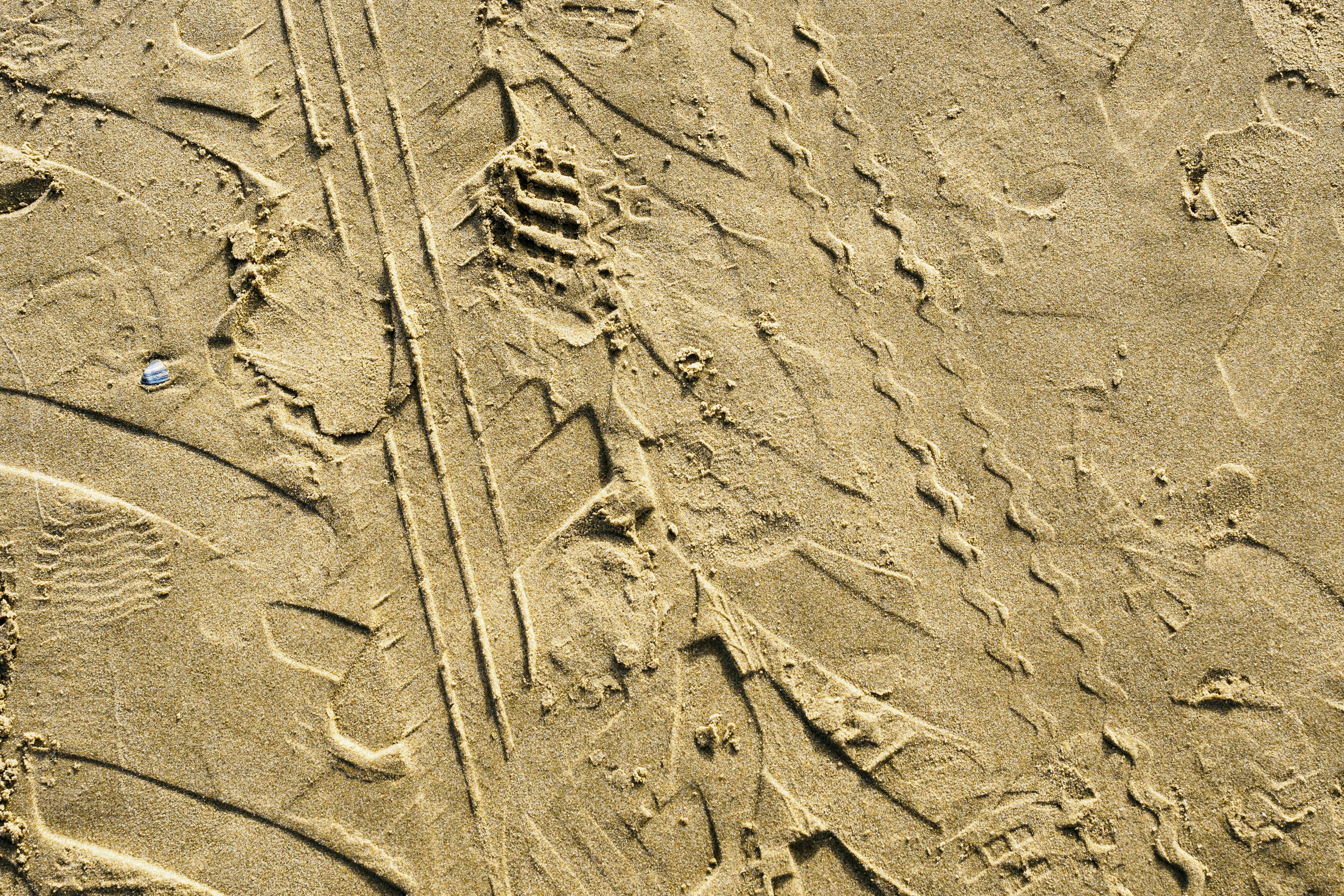 brown sand with human face dimensional teams background