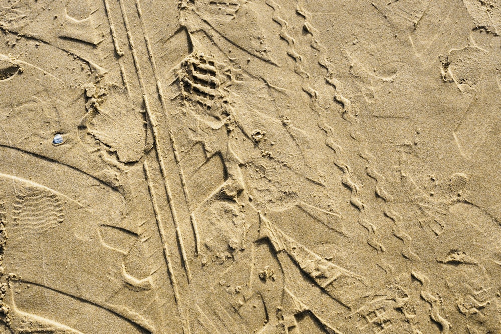 arena marrón con rostro humano