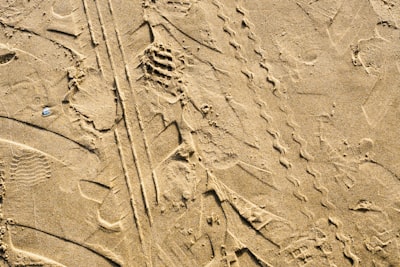 brown sand with human face dimensional zoom background