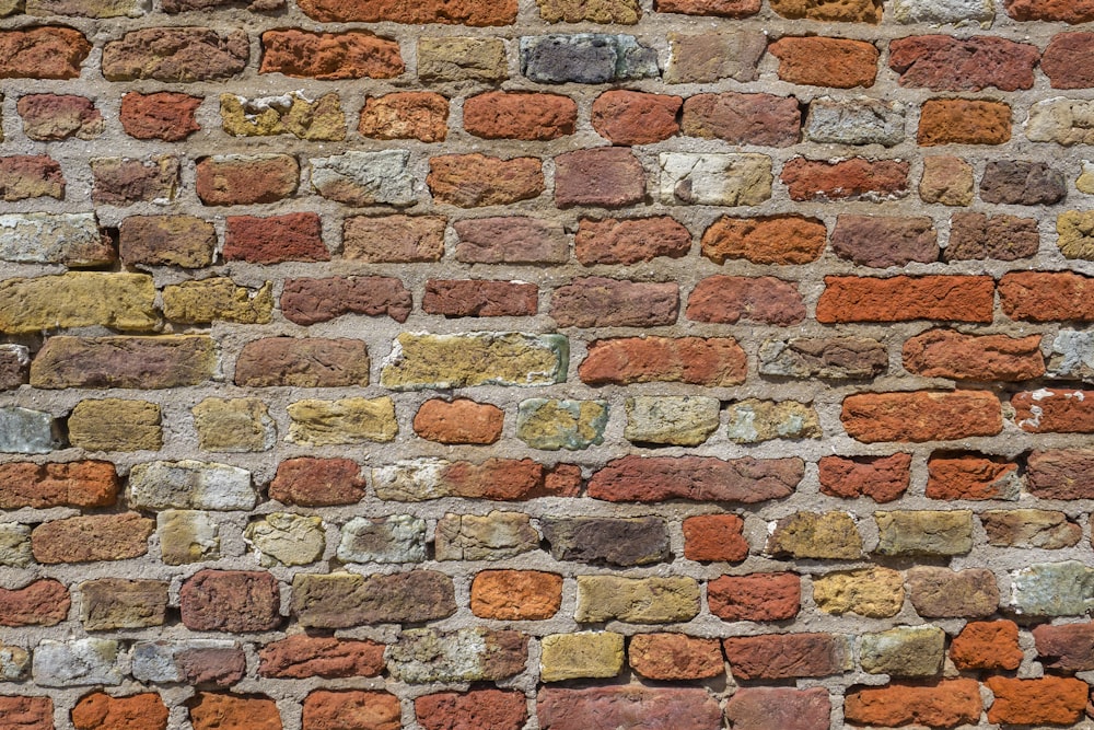 mur de briques brunes et blanches