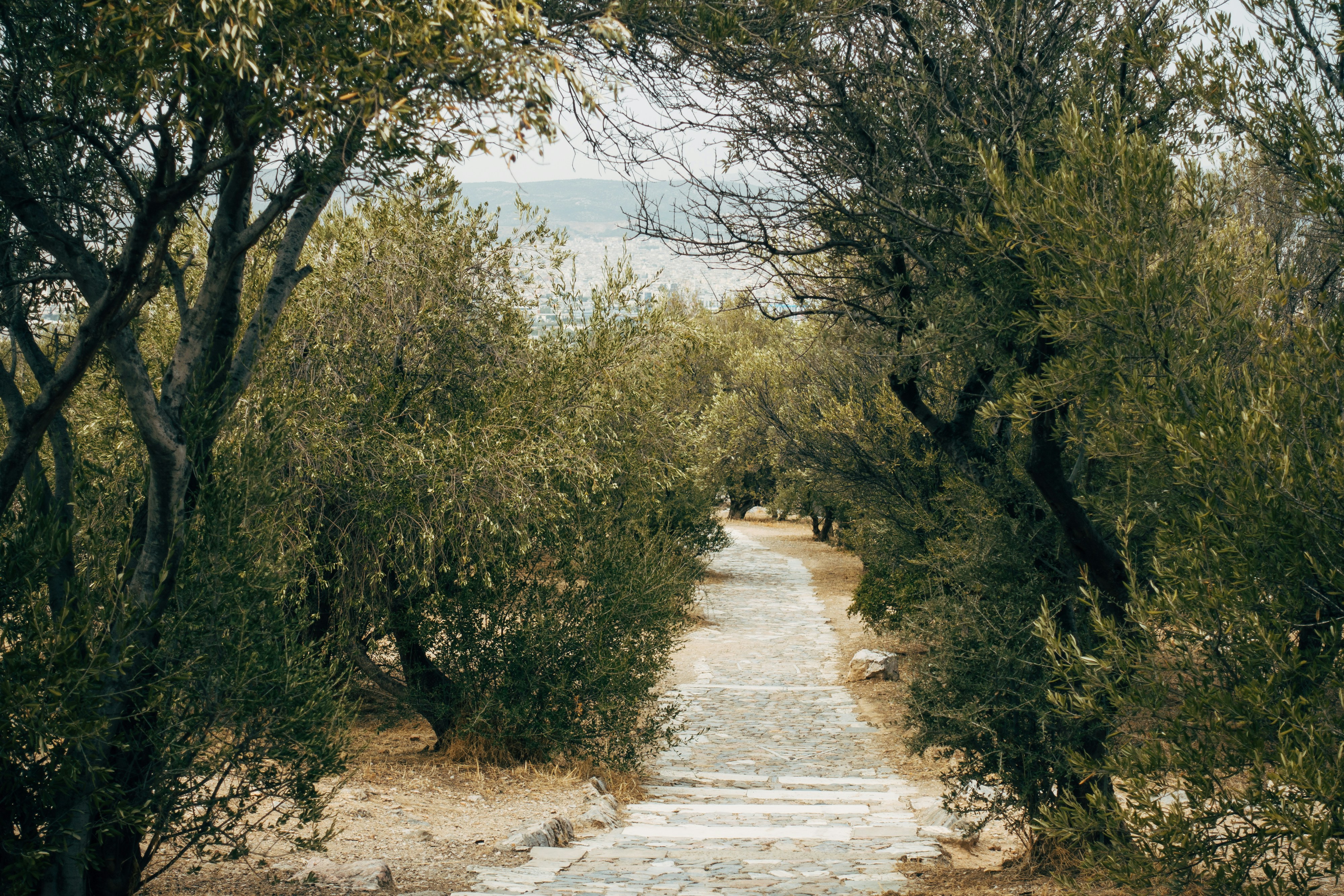 Photo by markuswinkler