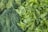 A display of fresh green herbs, including a bunch of delicate, feathery dill on the left and a lush pile of basil leaves on the right, showcasing their vibrant green color and healthy appearance.