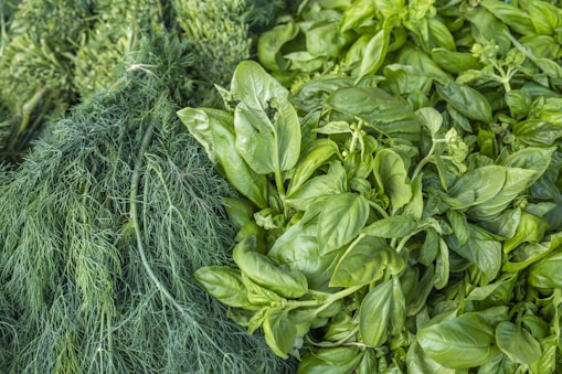 Close-up of fresh green herbs symbolizing natural food safety and quality