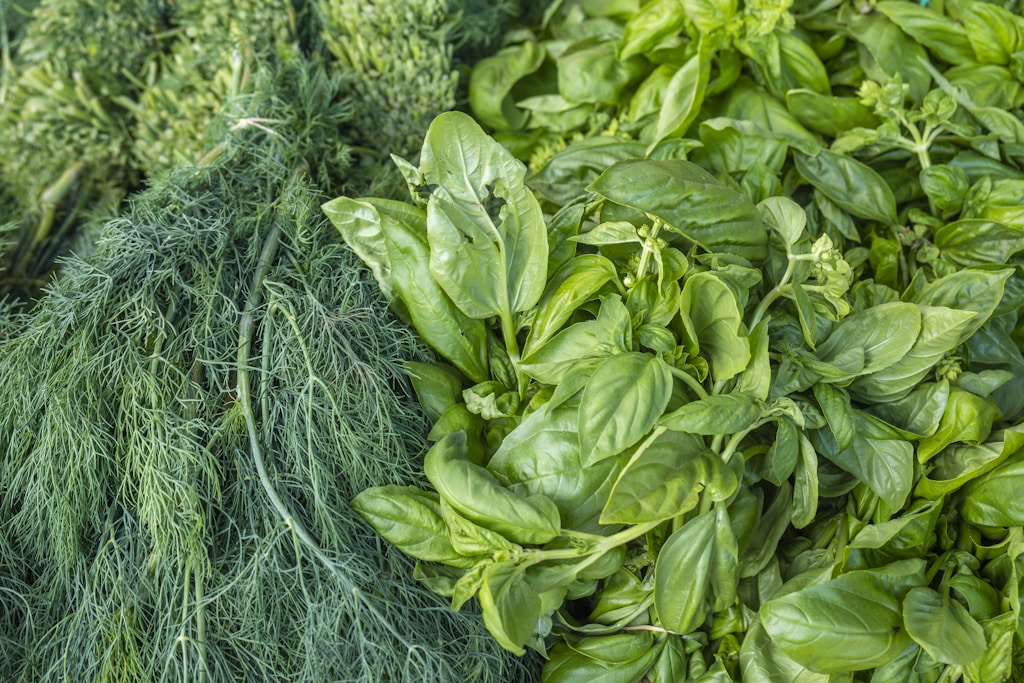 Lettuce And Herb Bundle