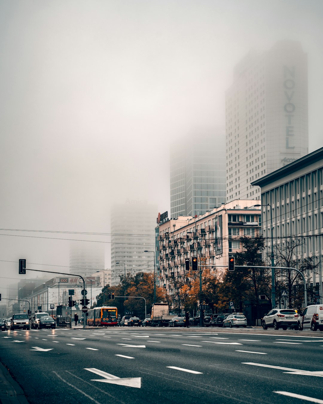 cars on road near buildings during daytime