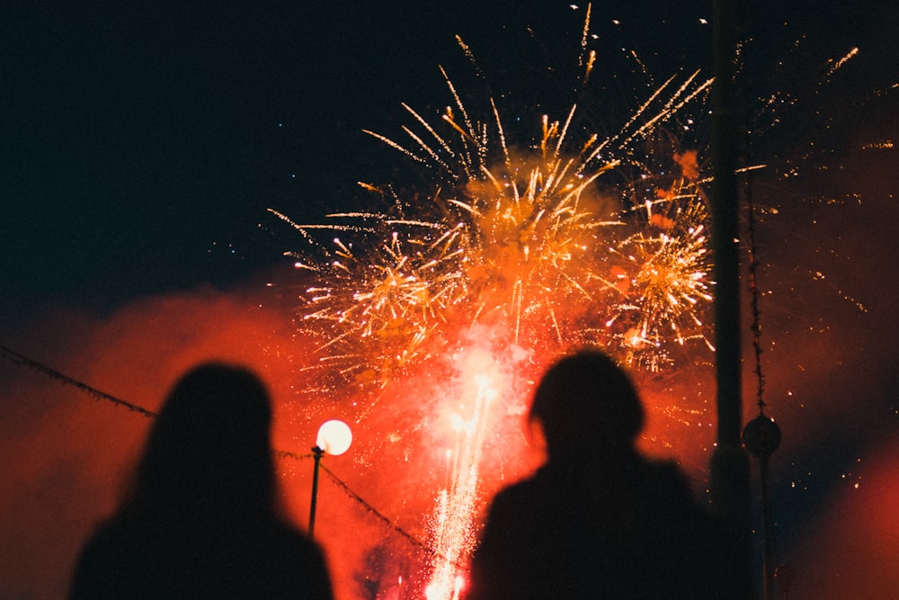 silhouette of people watching fireworks during night time