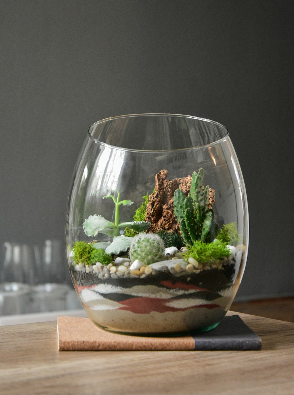 pianta verde in vaso di vetro trasparente