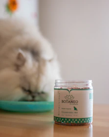 Close-up of freeze-dried cat treats arranged in a cute bowl with playful cat paws reaching in.