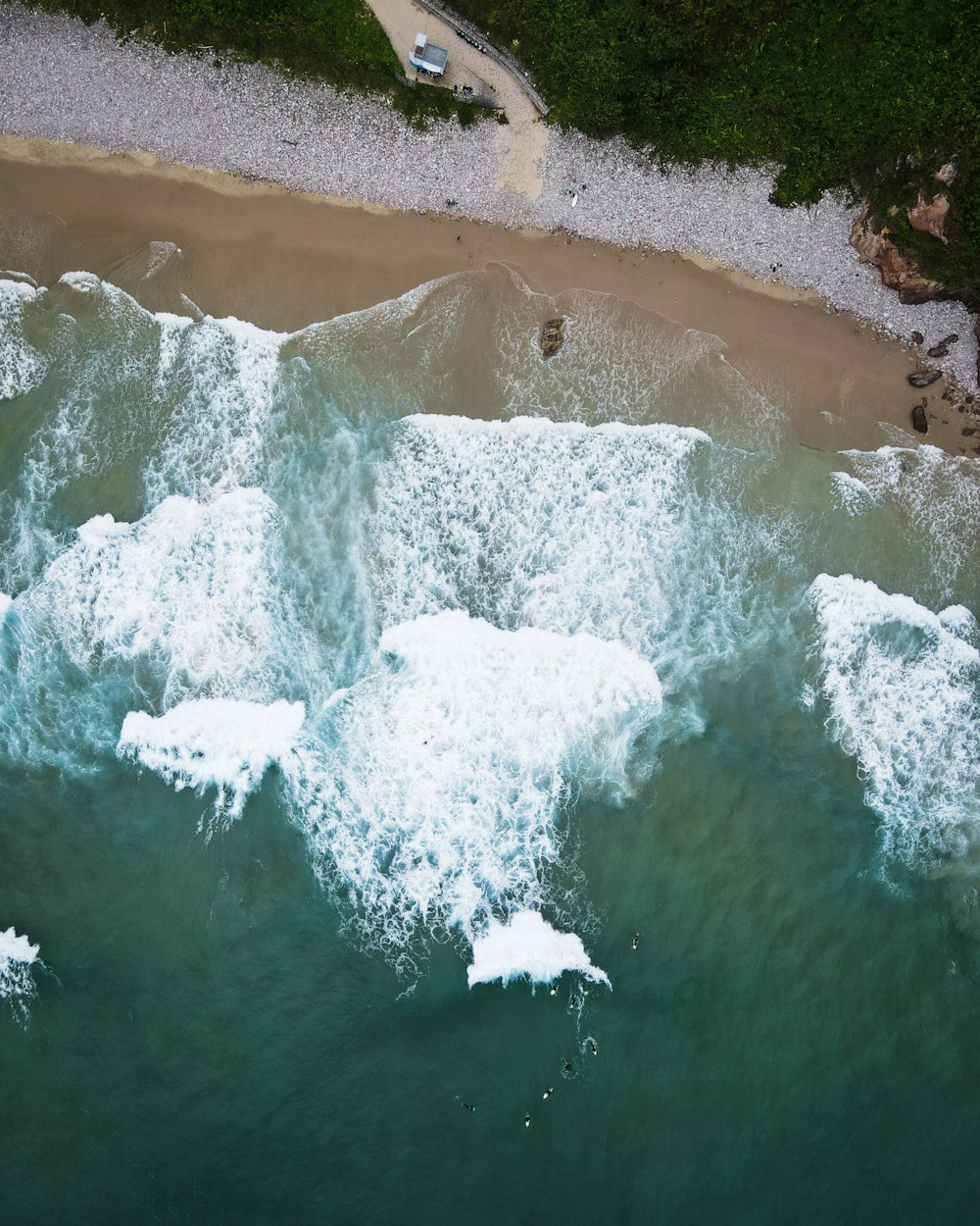 white and brown sand beach