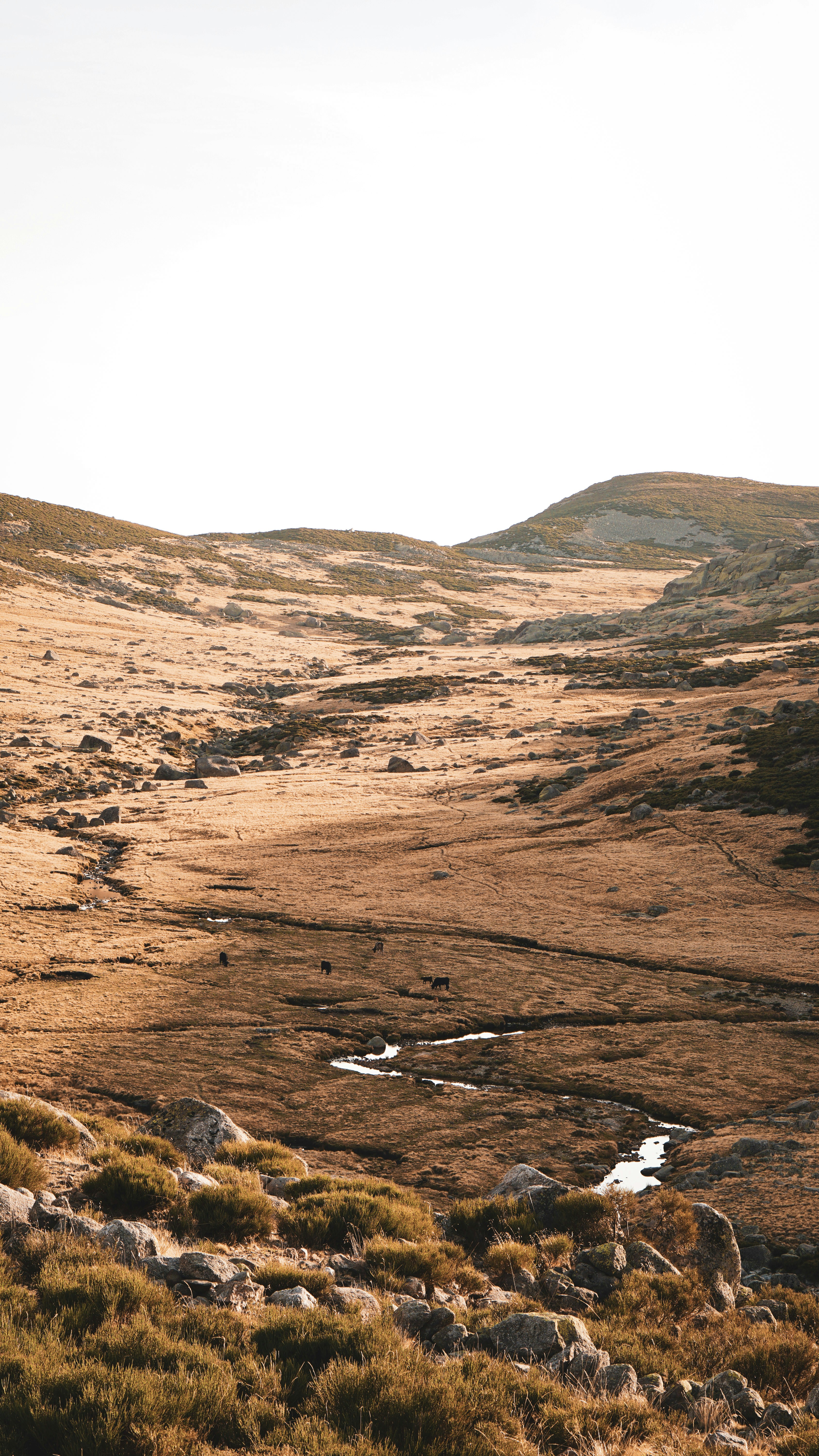 Photo by mikamagister