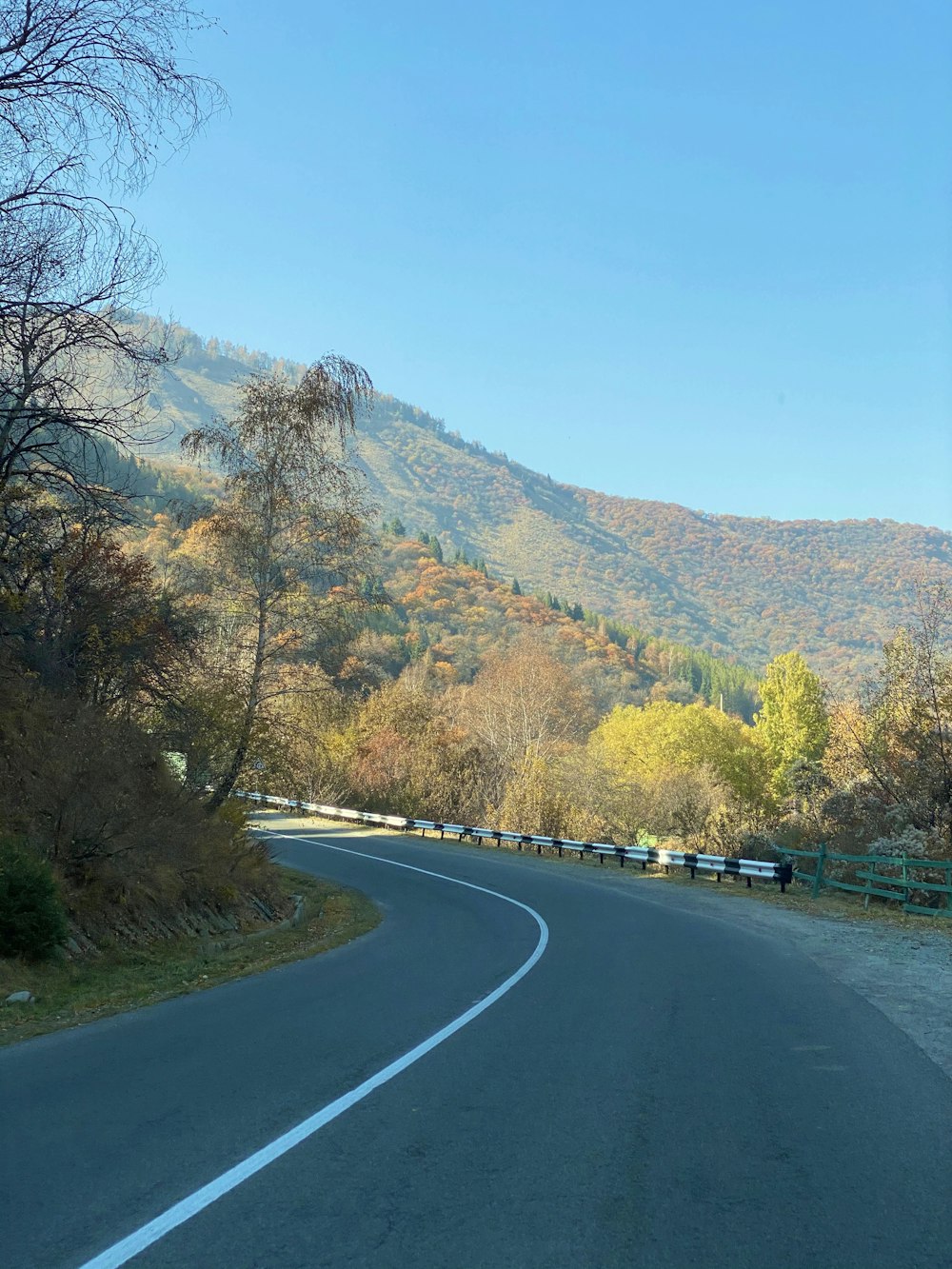 gray asphalt road between green trees during daytime