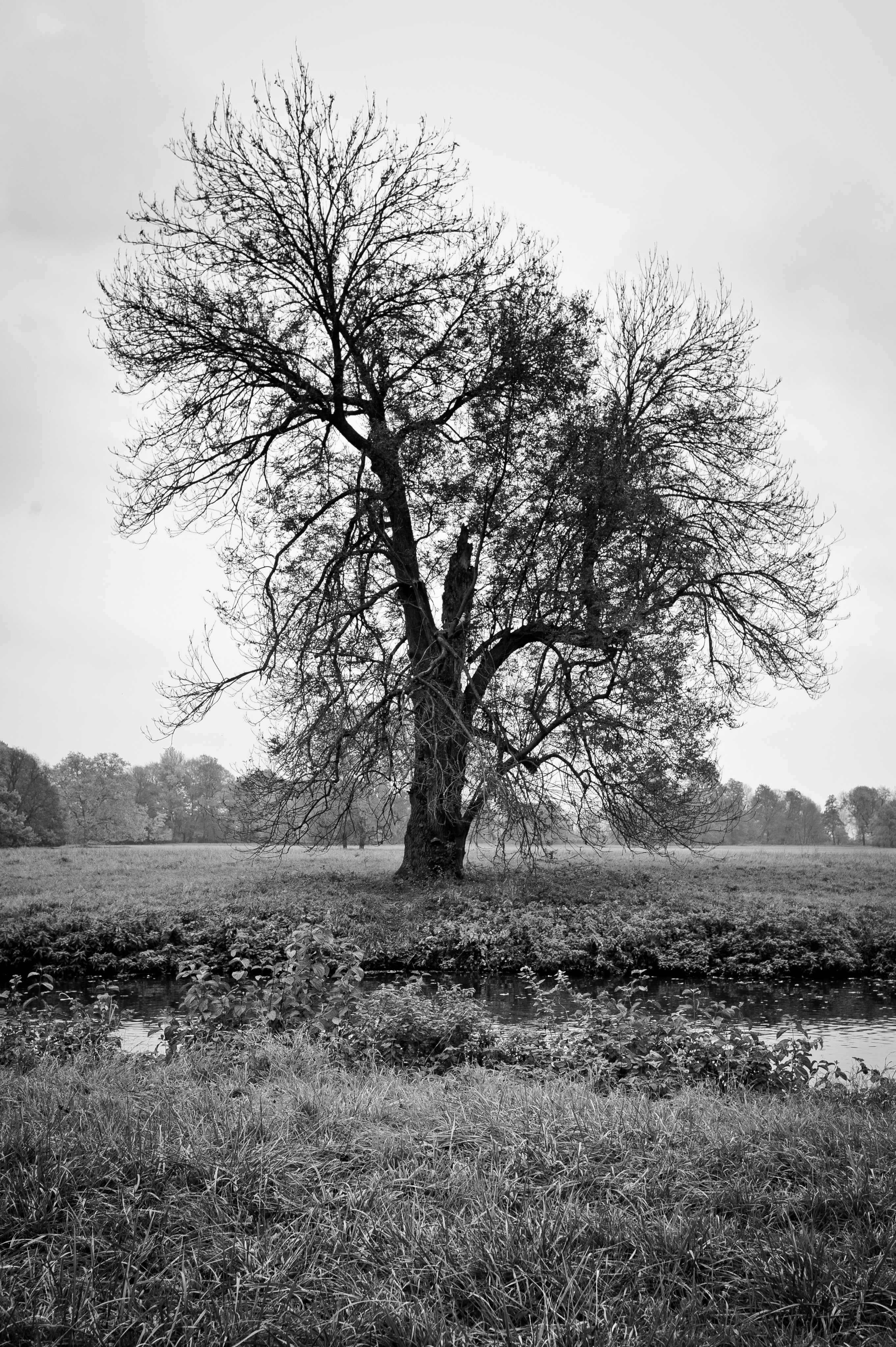 Photo by elimendeinagella