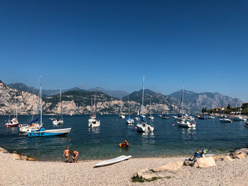 people on beach during daytime