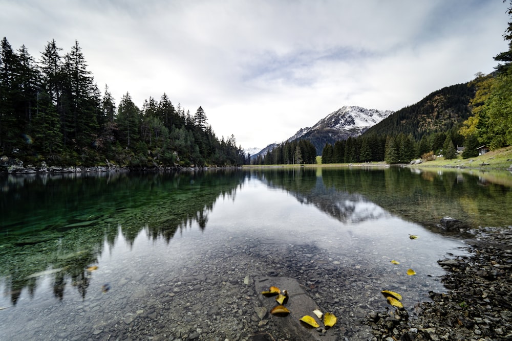 lake surrounded by green trees and mountains under white cloudy sky during daytime