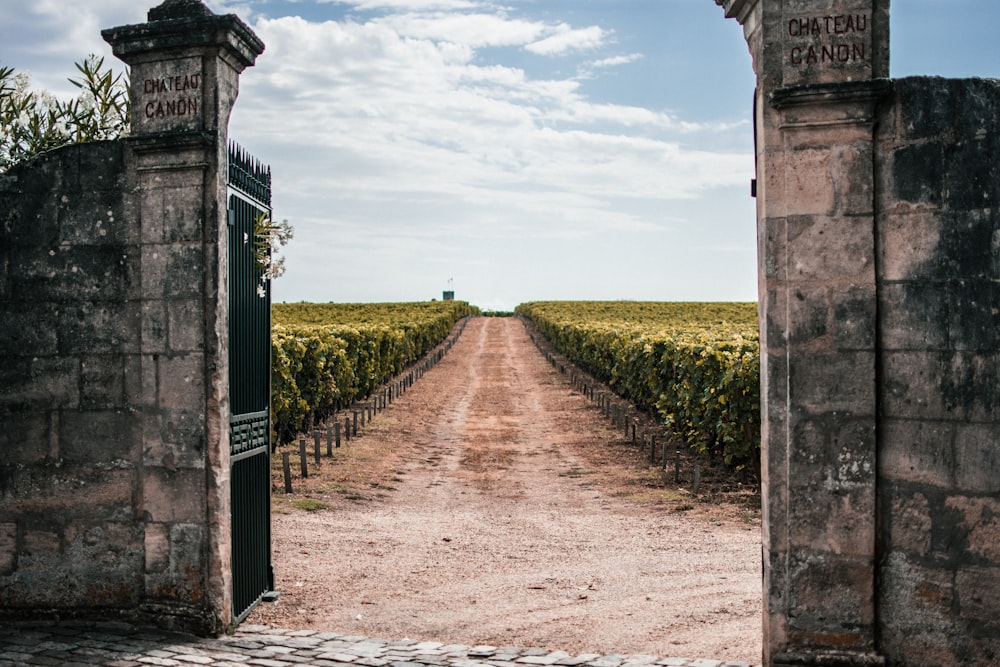 Camino marrón entre el campo de hierba verde bajo el cielo azul durante el día