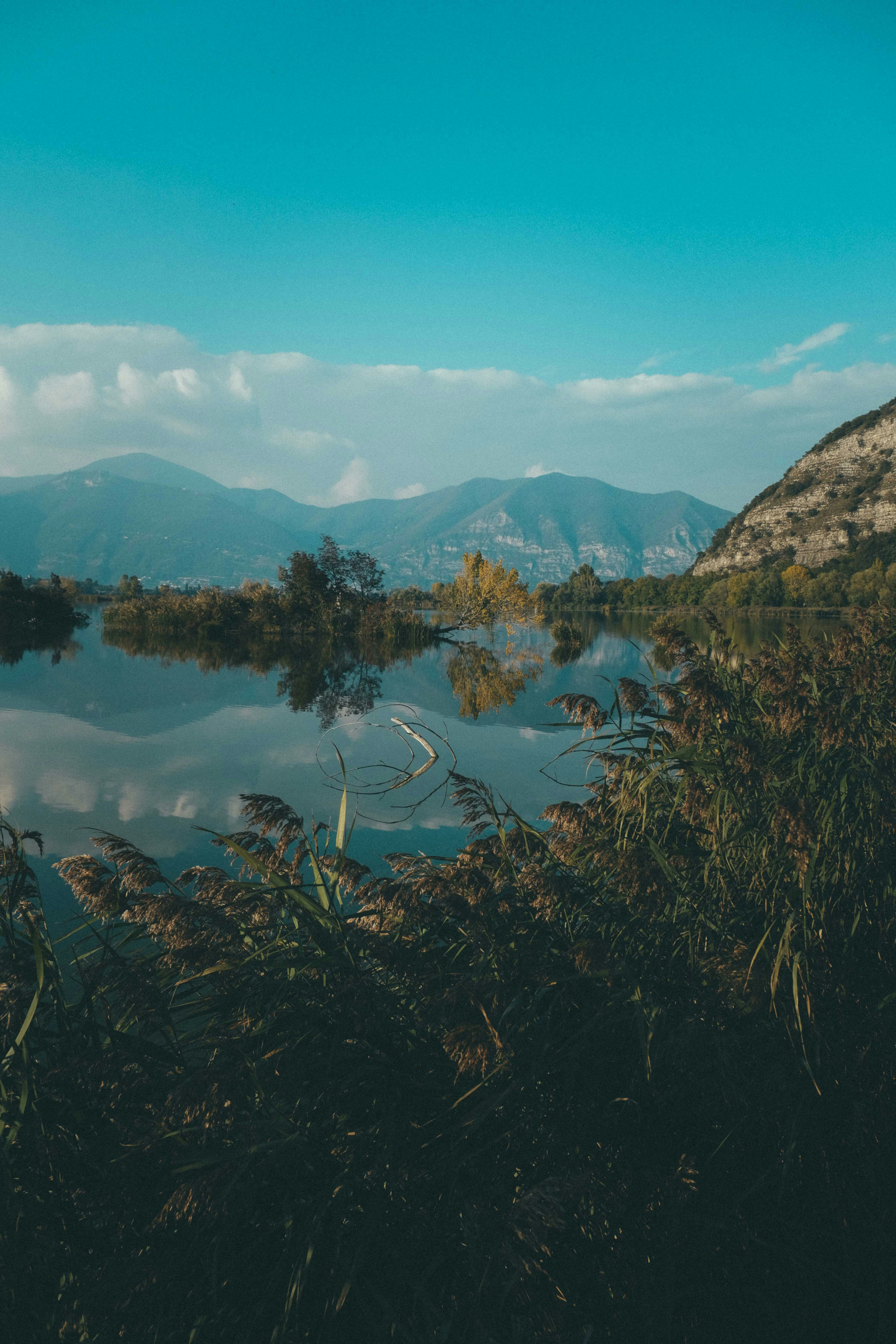 Photo by francesco_ungaro