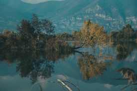 A serene lake reflects the silhouettes of trees with autumn-colored leaves under a backdrop of majestic mountains. The stillness of the water creates a perfect mirror image, enhancing the tranquil atmosphere. Lush greenery and subtle autumn tones blend harmoniously with the blue of the sky and mountains in the background.