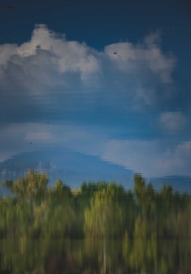A reflection in water shows a blue sky partially covered with fluffy white clouds and a row of green trees. The reflection gives the image a dreamy, surrealistic appearance with blurred and distorted features.