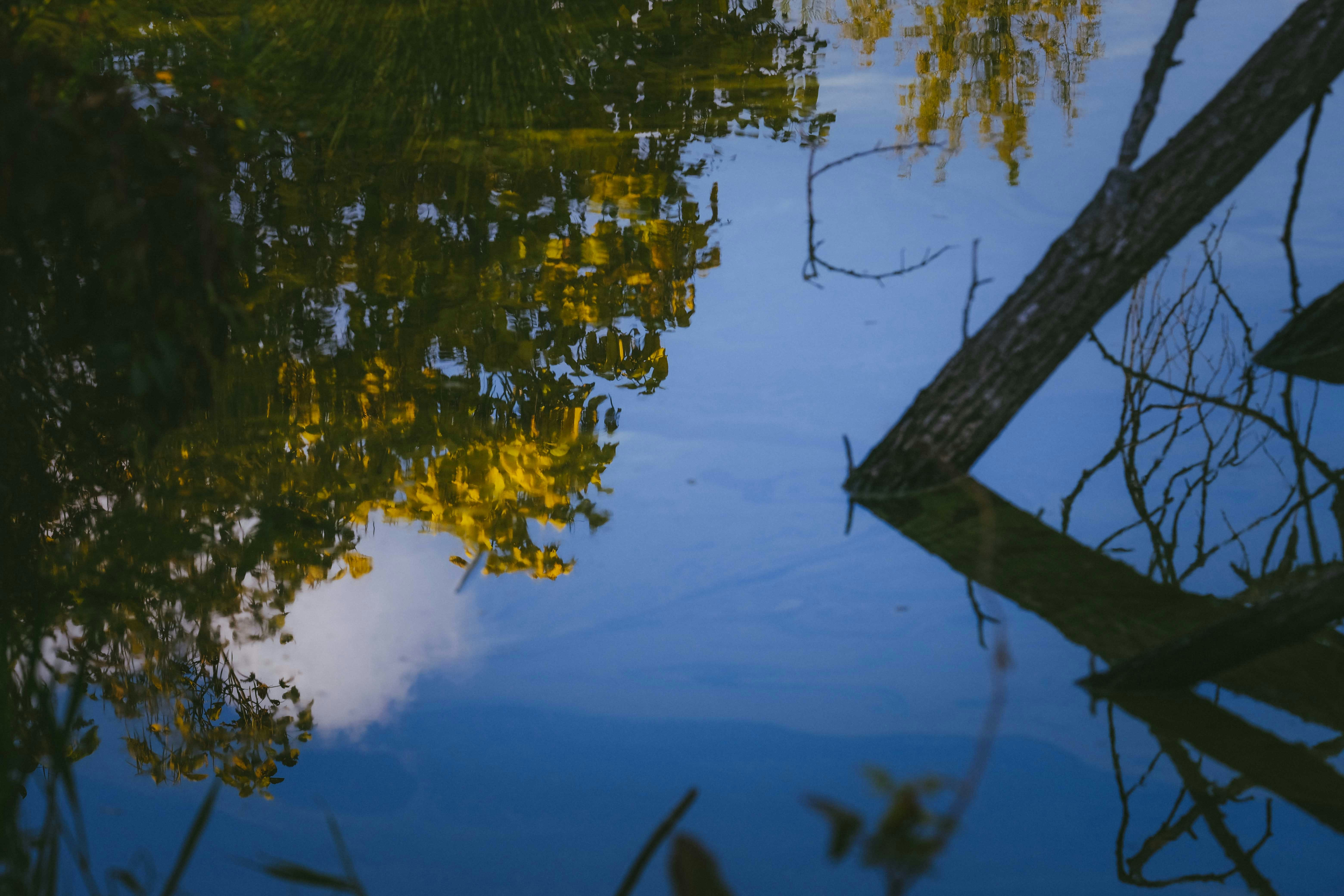 Photo by francesco_ungaro