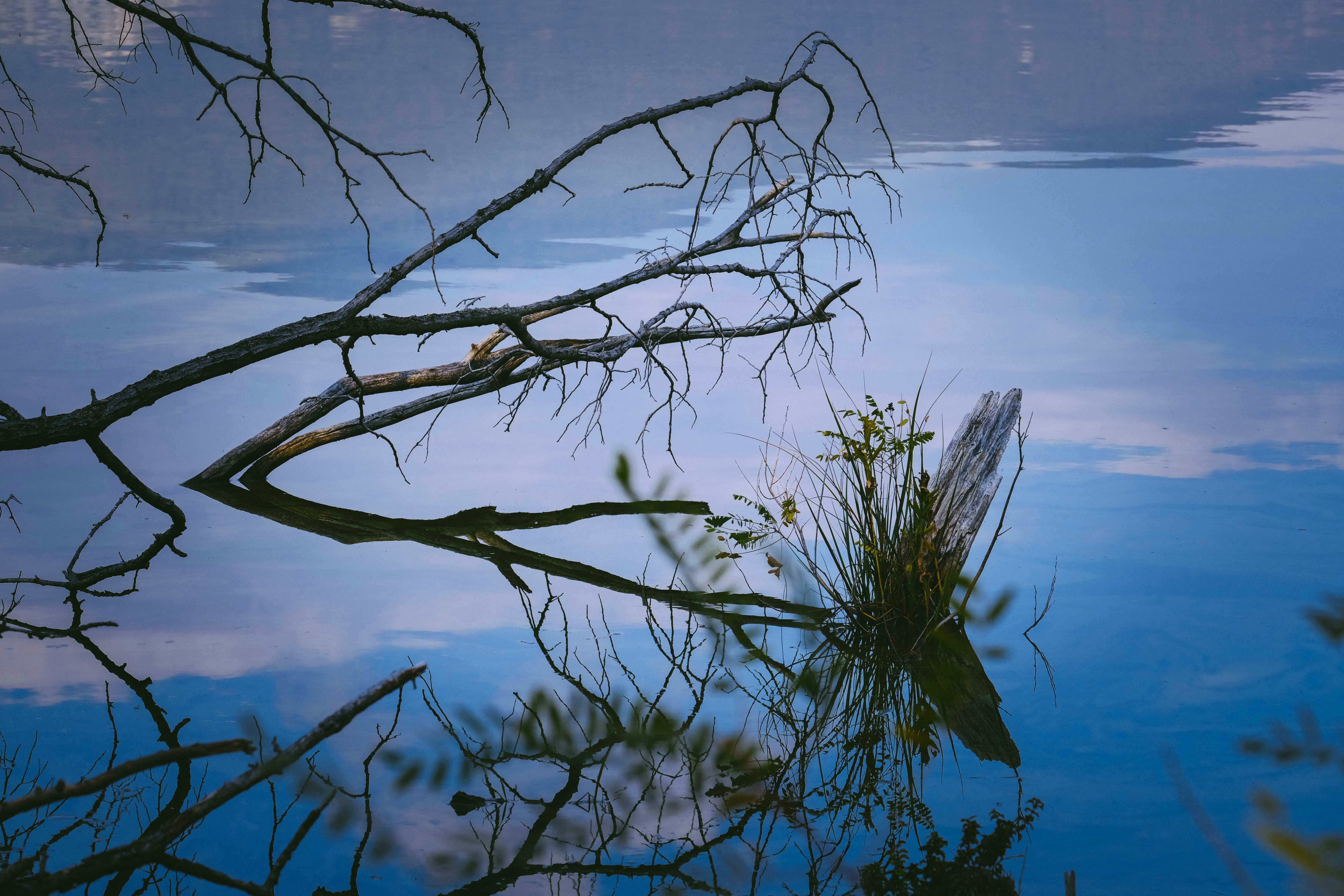 Photo by francesco_ungaro