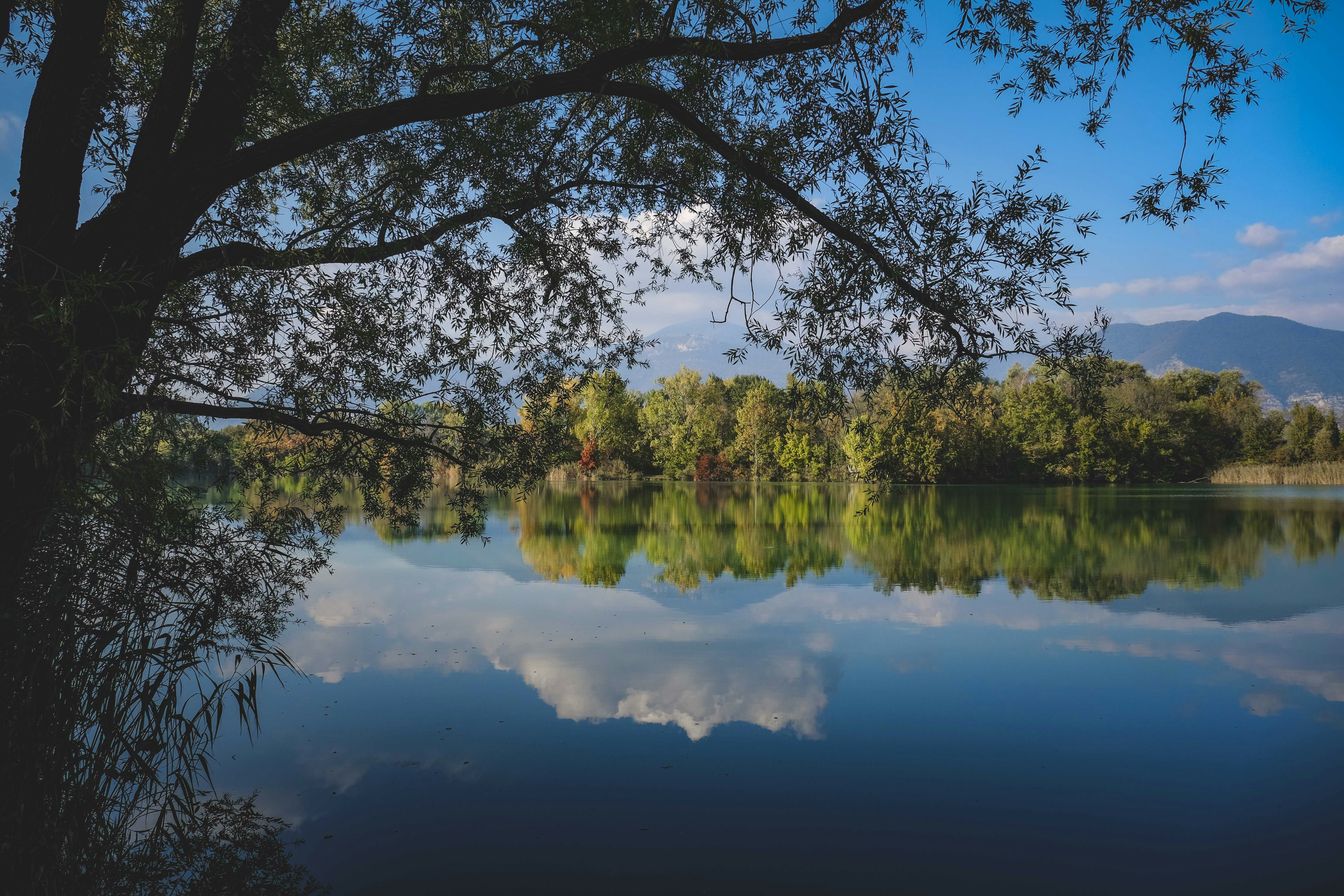 Photo by francesco_ungaro