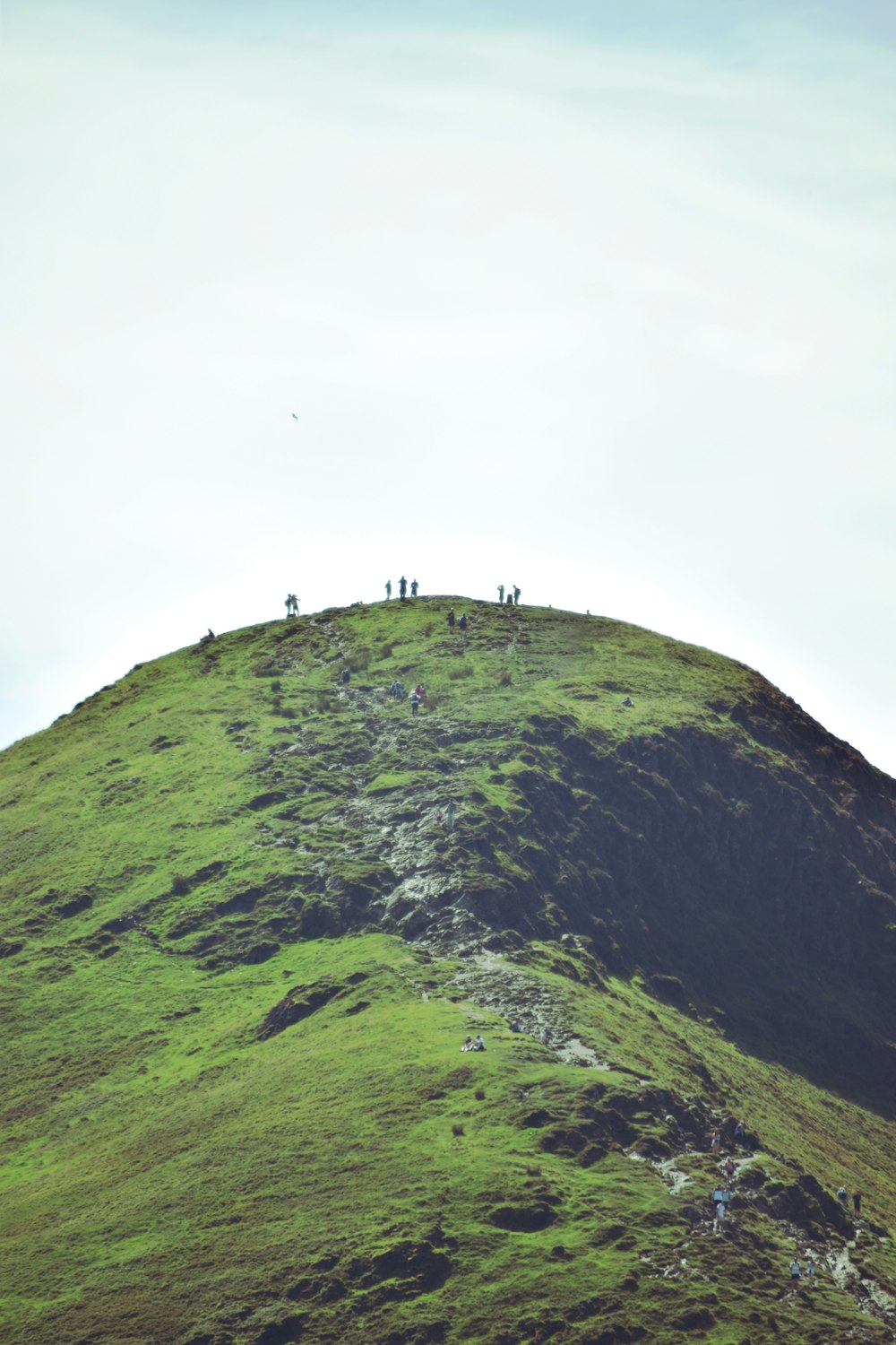 Gente de pie en la montaña verde durante el día