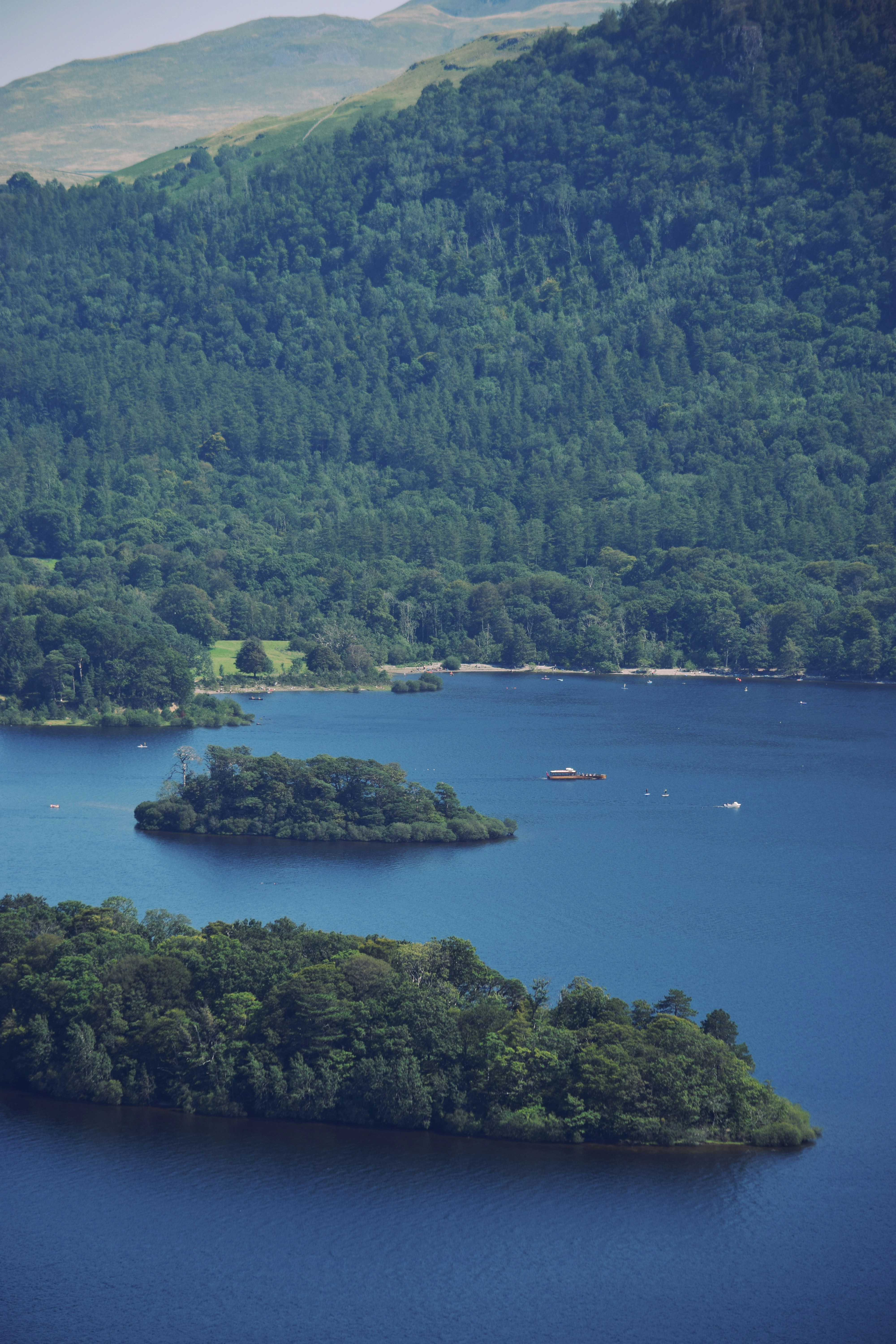 Photo by matthewwaring